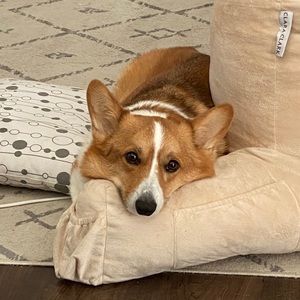 Meet your Posher, Julie